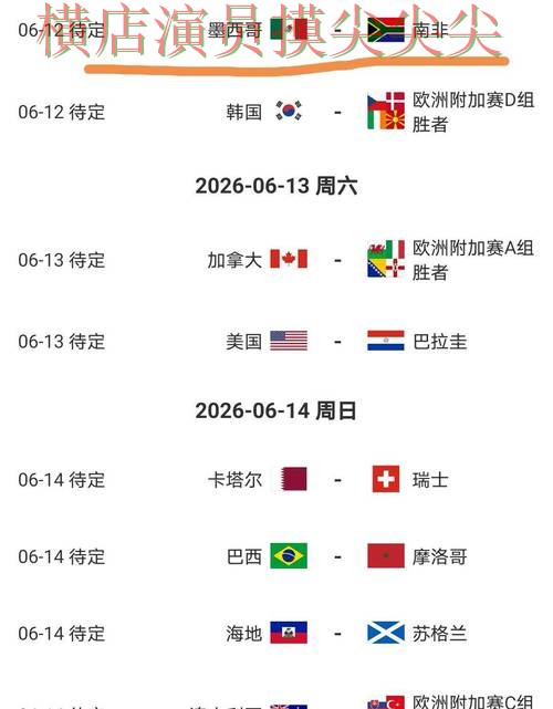 新手必看：世界杯投注网站大全平台排行+直播详解 + World Cup 2026